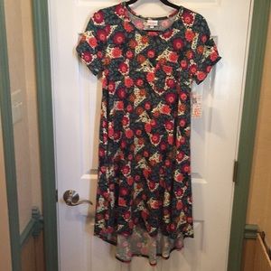 LuLaRoe Carly Dress